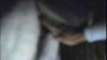 Guy jamming his fist into a dripping horse vagina