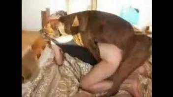 Lively ass hottie being pounded by a brown canine