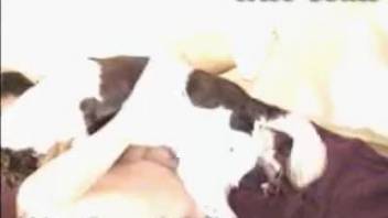 Sexy older woman tongues the canine's cock and strokes it to climax multiple times