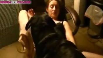 Horny female leaves the dog to lick her tight pussy