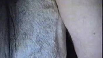 Guy is gearing up to plunge his shaft deep into this wet equine vagina