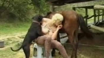 Threesome with a horse, a dog, and a horny MILF