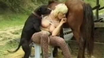 Trio sex with a stallion, a canine, and a lusty mature mom