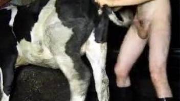 Dirty dude finds a sexy cow to fuck from behind