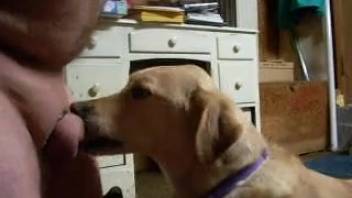Plump guy has his cock blown by a freaky dog