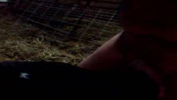 Late-night responses as he engages in intimacy with beasts