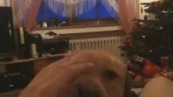 Christmas miracle comes in from of a blowjob from a dog