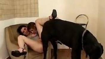 Short-haired babe getting gaped by a big-dicked dog