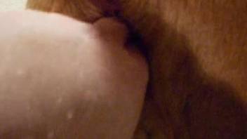 Fat dude fingering his dog's delicious pussy in POV