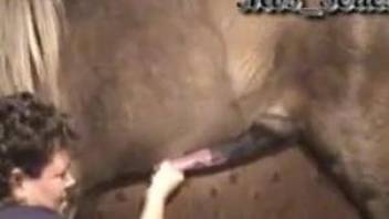 Mature woman craves to feel that big horse dick in her