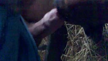 Aroused guy enjoys sticking his dick in an animal's mouth