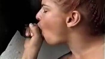 Nude Hispanic spouse deepthroats a huge equine member