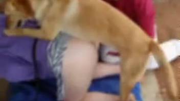 Young-appearing blond woman delights in rough animal intercourse