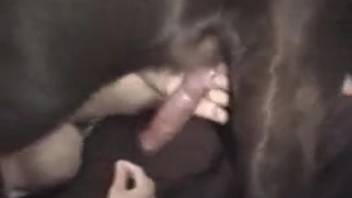 Beautiful spouse performs oral sex on the dog's penis in extremely messy ways while completely nude