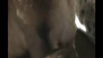 Excited older woman with large breasts in wild bestiality scenes