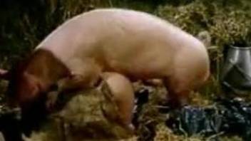 Country girl watches her aunt get fucked by a pig