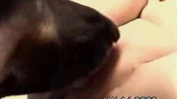 Intense escapades with an ultra-aroused mature mom who adores canines