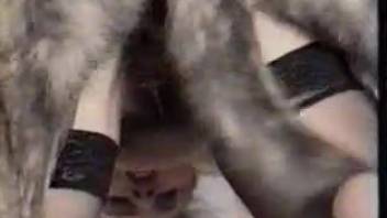 Doggystyle canine encounter for two promiscuous women in retro scenes
