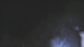 Bare woman relishes a rigid canine penis deep in her vagina