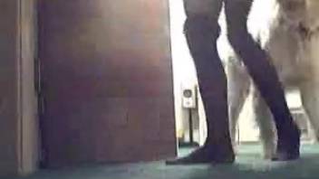 Fluffy canine thrusts penis into lady's snug anus