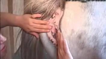 A curly-haired mature hottie devours the mare's vagina before taking a hard pounding.