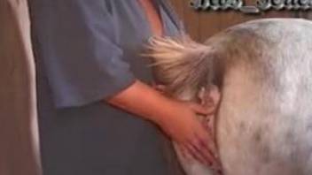 Curly-haired MILF eats horse pussy before getting fucked