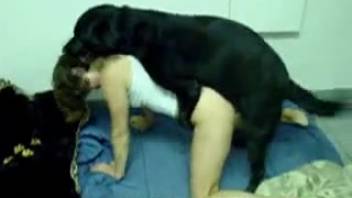 Collection of the steamiest animal sex scenes in doggy style