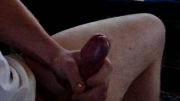 Aroused guy beats off live on camera as the dog laps at his shaft