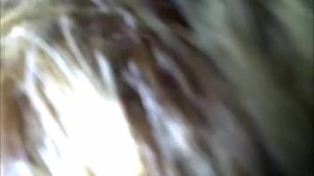 Excited woman captured on video deepthroating the dog's penis in messy ways