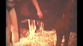 Classic clips of bestiality involving animals and sexy ladies