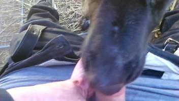 Guy aggressively mouth-fucking his hot canine outdoors