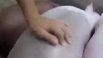 Horny guy pounds a hot sow roughly doggy style