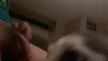 Bitch is made to suck off the owner's dick