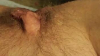 Horny dog shows up to lick hairy pussy for the cam