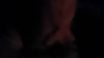 Intimate detailed footage of erotic deeds with a filthy bestiality enthusiast