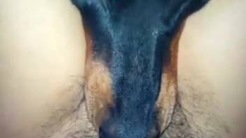 Guy slamming a bitch's throat in a first-person adult flick