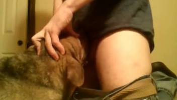 Guy pounding a dog's throat in a steamy adult film