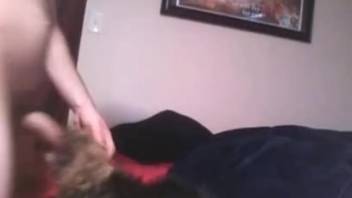 Guy shoves his thick cock into a dog's steamy throat