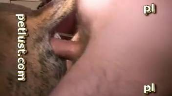 Guy employs his rock-hard cock to fuck a pup