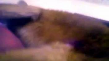 Canine pounds a bestiality lover roughly and swiftly doggy-style