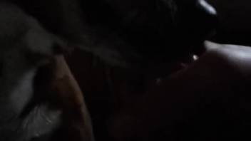 Guy receives a pleasant oral pleasure in the darkness from his canine