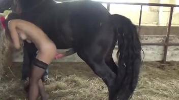 Busty brunette in stockings wants that horse cock