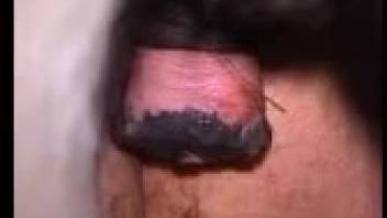 Astonishing oral encounter with a lustful beast
