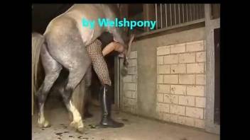 Slutty crossdresser getting his asshole fucked by a horse