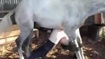 White stallion dominating a gay dude's tight asshole
