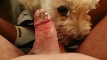 Hot beast eagerly lapping up that tasty crap