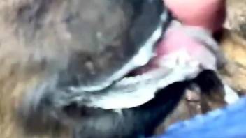 Dude with a hairy penis fucking a beast's throat