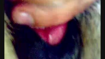 Sexy guy slides his dick into a female horse's snug opening