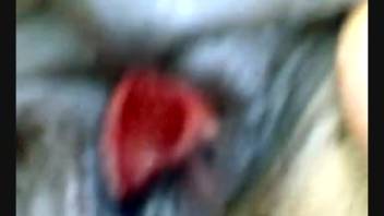 Guy deeply penetrates fluffy beast's pussy during recording