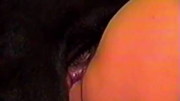 Voluptuous booty chick getting pounded laterally right now